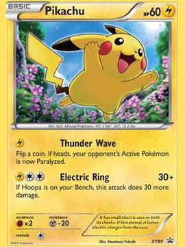 Pikachu (XY89) (Collector Chest) [XY: Black Star Promos]
