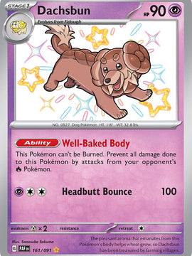 Dachsbun (161/091) [Scarlet & Violet: Paldean Fates]