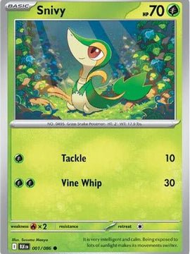 Snivy 1 - SV Black Bolt
