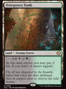 Magic The Gathering Singles For Sale | Buy MTG Single Cards | Danireon   Danireon Cards & Games