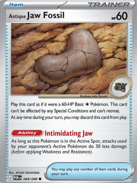 Antique Jaw Fossil 68 - ME03 Perfect Order