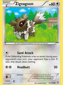 Zigzagoon (111/160) [XY: Primal Clash]