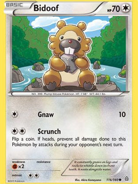 Bidoof (116/160) [XY: Primal Clash]