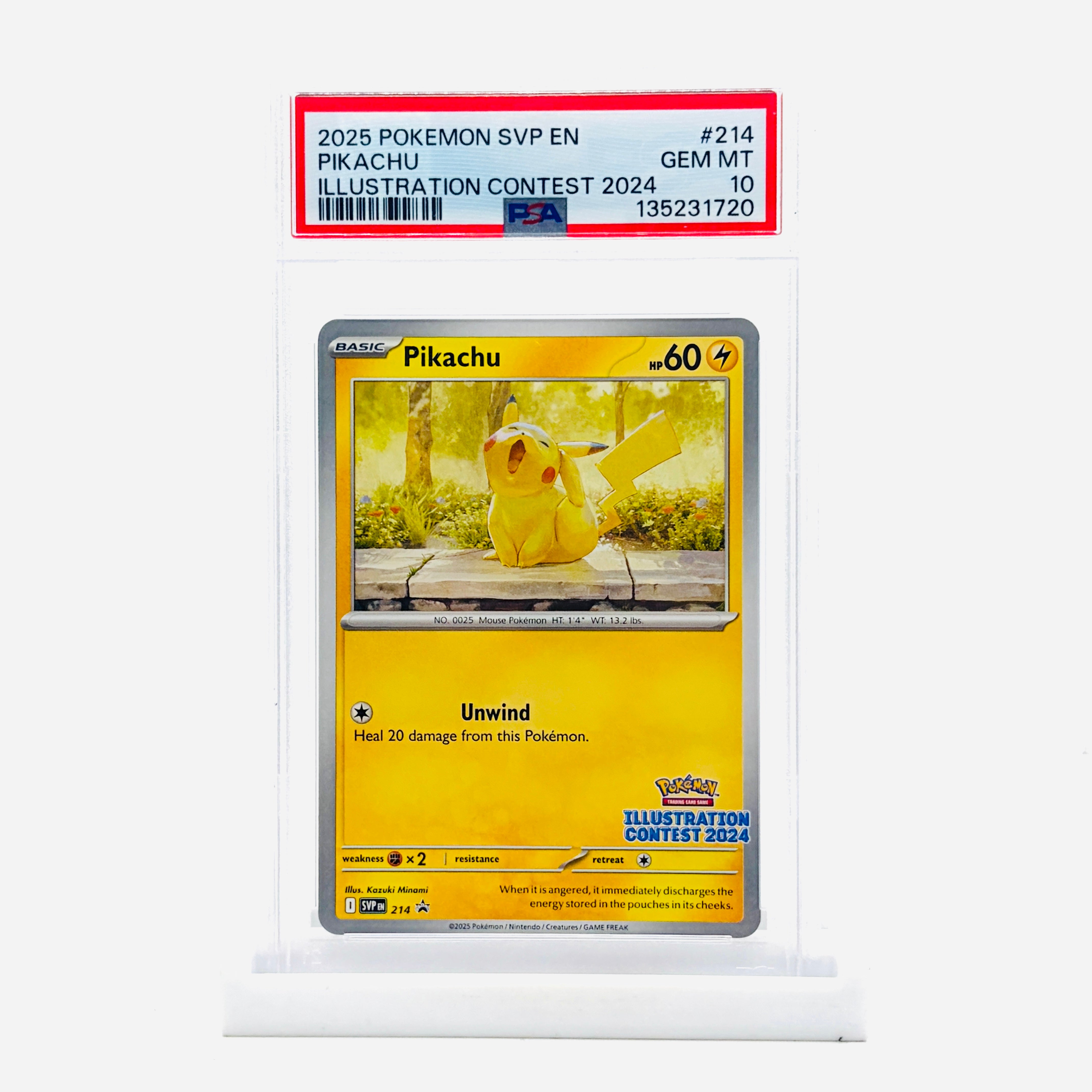 pokemon card graded slabs FunGuys Storage Box, Trading Card Case for PSA Graded Cards, Sports Card Storage Boxes, PSA Card Case Holder, Baseball Slab Case for Trading Cards, BGS : Toys & Graded Slabs  Cash Cards
