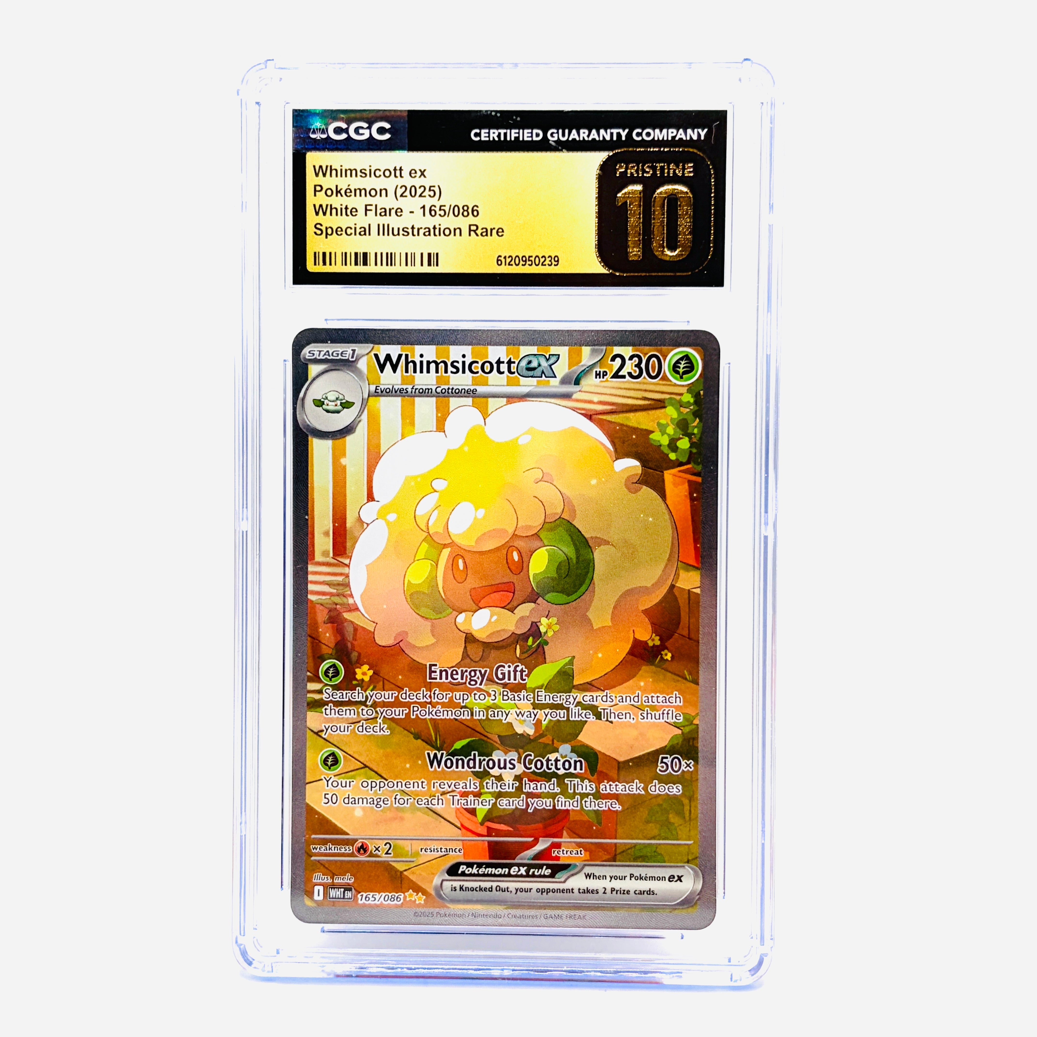 Pokemon Graded Cards  Pokemon Slabs  Danireon Cards & Games