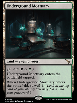 Underground Mortuary (MKM-271) - Murders at Karlov Manor