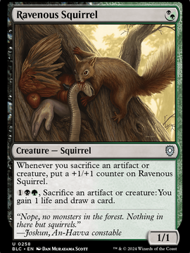 Ravenous Squirrel (BLC-258) - Bloomburrow Commander