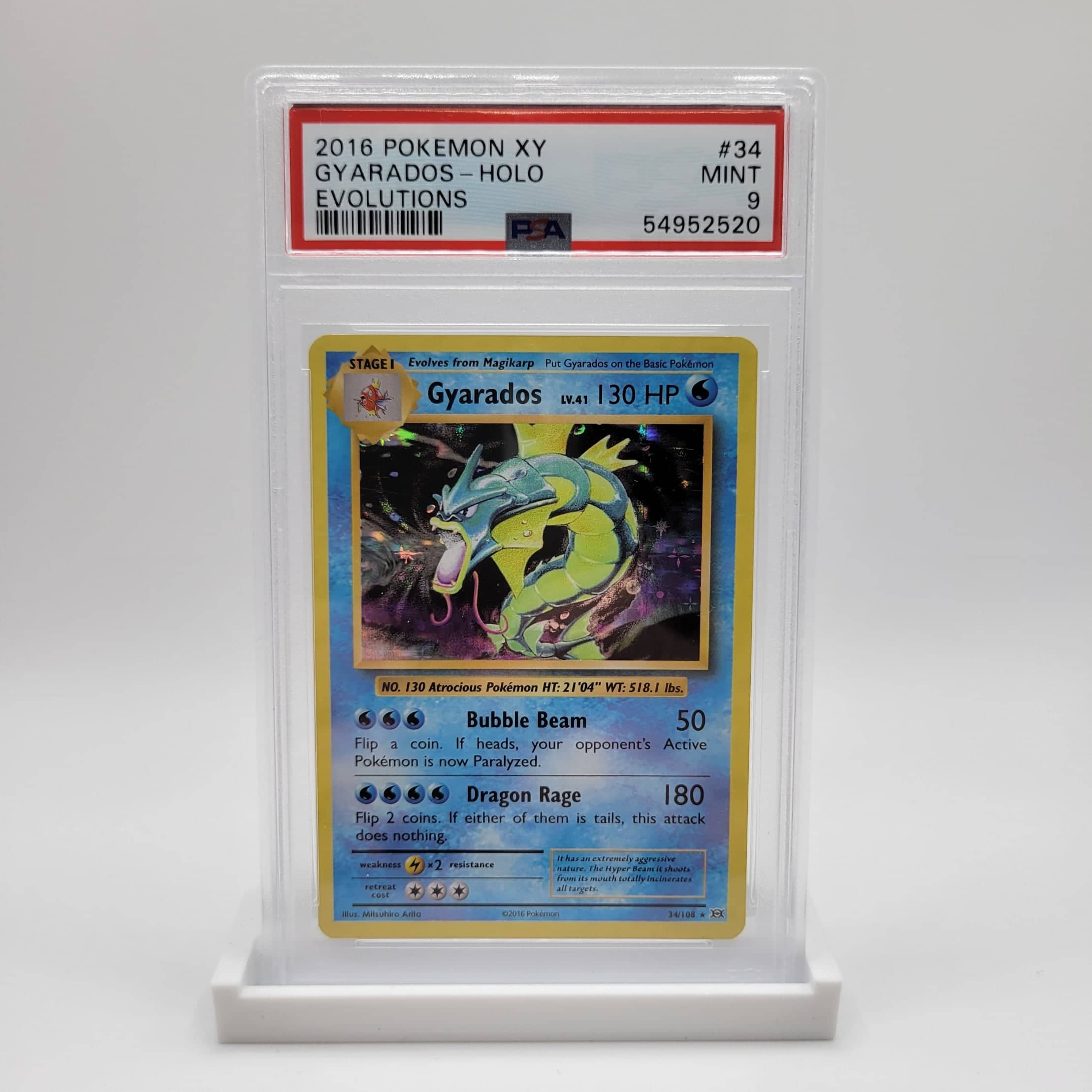 PSA 9 Gyarados Holo - Pokemon XY Evolutions English Danireon Cards & Games PSA 9 Gyarados Holo - Pokemon XY Evolutions English Danireon Cards & Games