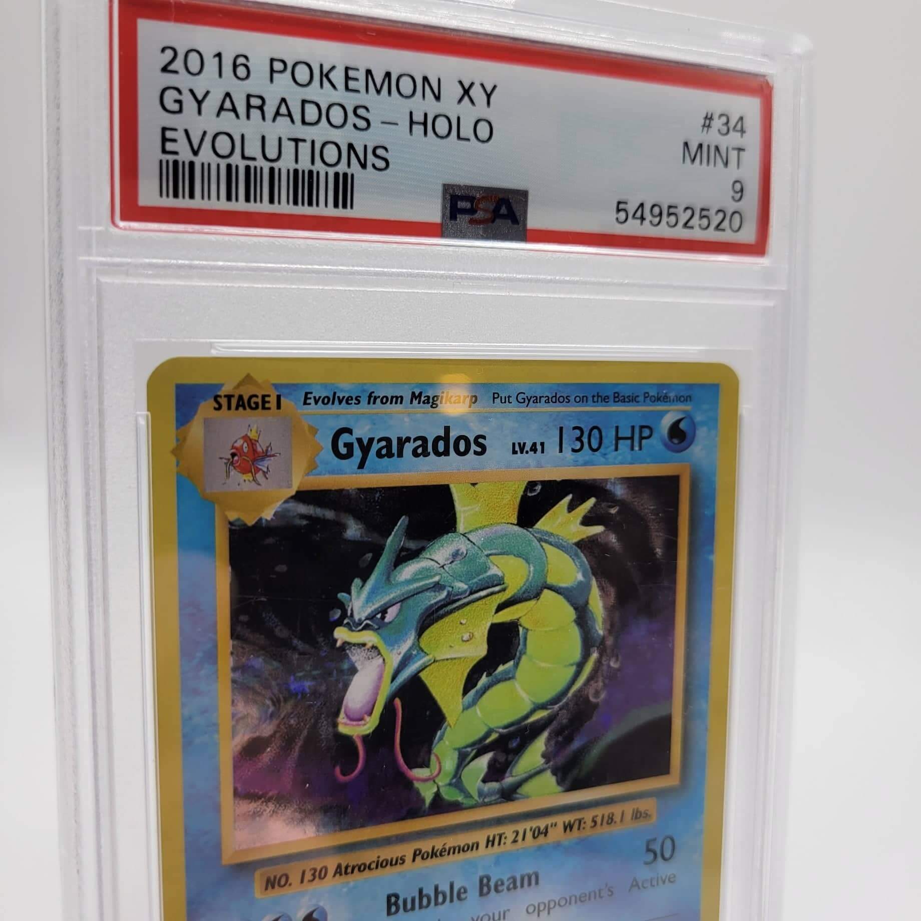 PSA 9 Gyarados Holo - Pokemon XY Evolutions English  Danireon Cards & Games