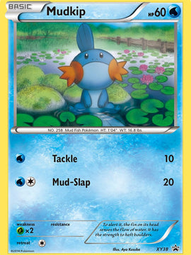 Mudkip (XY38) [XY: Black Star Promos]