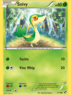 Snivy (1/114) (Cosmos Holo) [Black & White: Base Set]